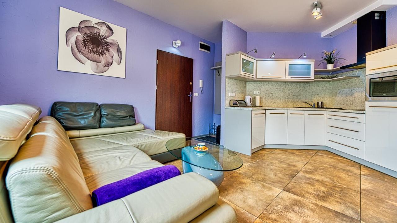 Apartament Magda - 5D Apartamenty Swieradow-Zdroj Exterior photo